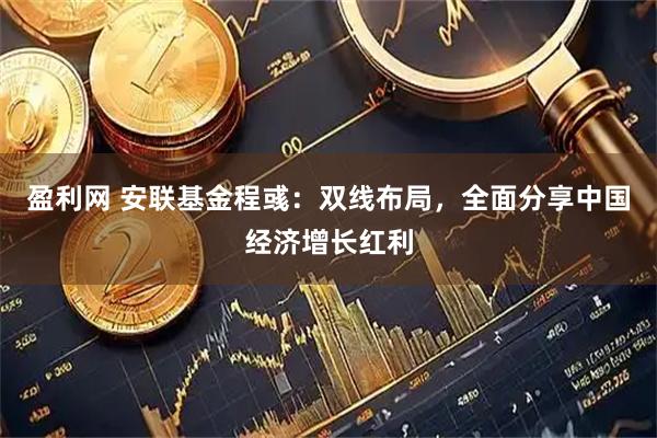 盈利网 安联基金程彧：双线布局，全面分享中国经济增长红利