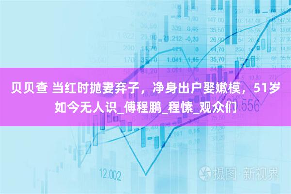 贝贝查 当红时抛妻弃子，净身出户娶嫩模，51岁如今无人识_傅程鹏_程愫_观众们